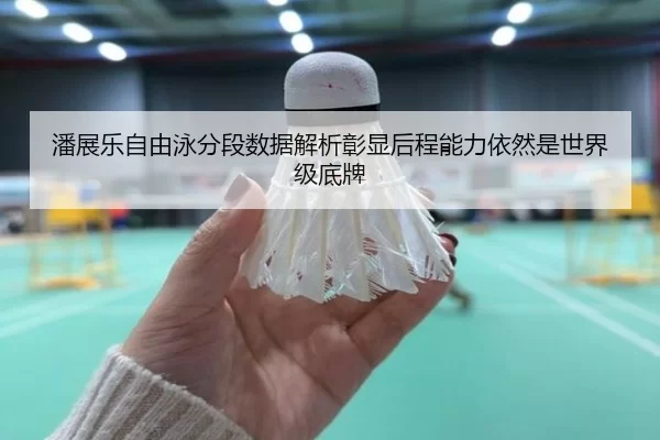 潘展乐自由泳分段数据解析彰显后程能力依然是世界级底牌